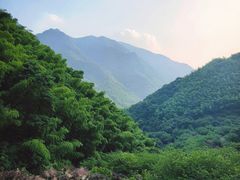 -四明山国家森林公园