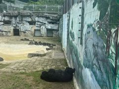 -黔灵山公园