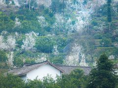 -樱桃山旅游景区