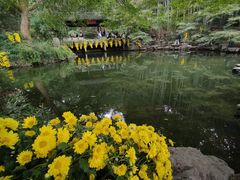 -杭州植物园