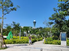 -狐尾山公园