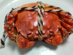 -蟹都汇(旗舰店)