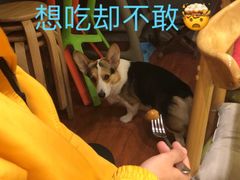 -维卡食舍(户部山店)