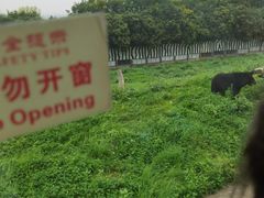 -西安秦岭野生动物园