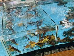 -虎门不夜天海鲜市场
