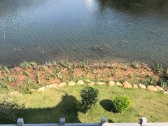 -东山湖公园