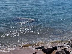 -小麦岛公园
