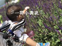 -君乐宝优致牧场