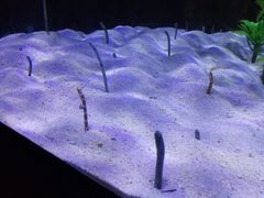 -南昌融创海世界