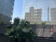 -Tivano意大利餐厅(成都居舍酒店)