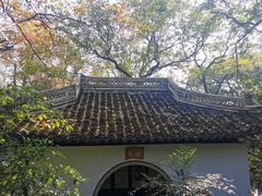 -秋霞圃