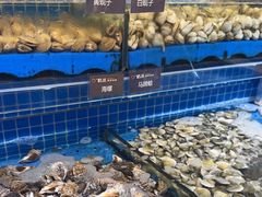 -乔哥铭洋海鲜自助(皇城恒隆广场店)