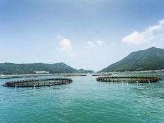 -南麂列岛
