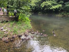 -关门山森林公园