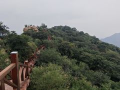 -大岭沟猕猴桃谷风景区