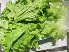 -炭之家·齐齐哈尔非遗烤肉·鲜切直供(中央大街店)
