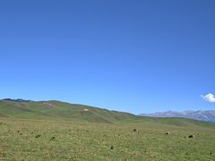 -新疆那拉提国家旅游度假区