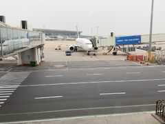 -郑州新郑国际机场-T2航站楼