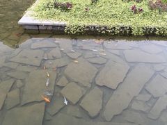 -江苏三台山国家森林公园