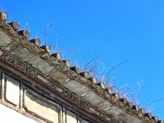 -蝴蝶泉公园