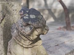 -上海佘山国家森林公园天马山园