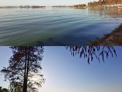 -东湖磨山景区