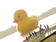 -深圳人才公园
