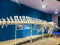 -福州罗源湾海洋世界旅游区