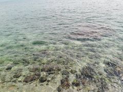 -三亚西岛海洋文化旅游区