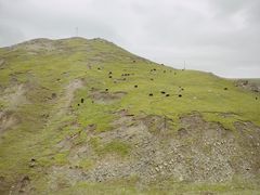 -橡皮山