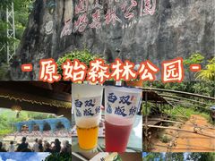-西双版纳原始森林公园