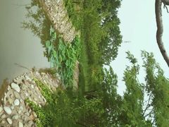 android_upload_pic-御林古桑园