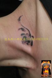 -小辫刺青洗纹身