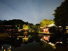 -顺峰山公园