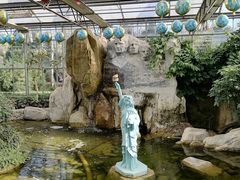 -南宫五洲植物乐园