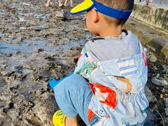 -南汇嘴观海公园