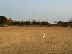 -上海崇明金茂凯悦酒店