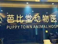 -芭比堂动物医院·24小时·眼科中心(深圳中心)