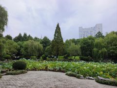 -孝子祠公园