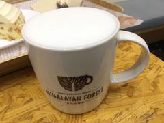 -喜马拉雅森HIMALAYAN FOREST