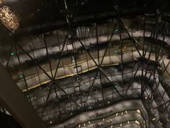 -广州四季酒店