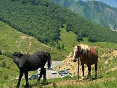 -灵山