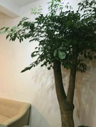 -绿皮火车照相馆 婚纱照旅拍(厦门店)