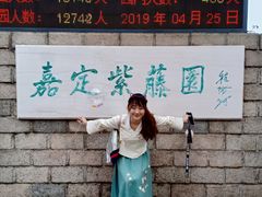 -嘉定紫藤园