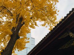 -古大圣慈寺