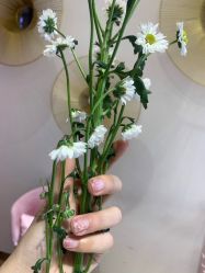 -MY WAY SALON
