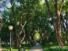 -玲珑塔公园