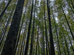 -山王坪喀斯特国家生态公园