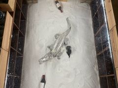 -福禧酒窖·中餐厅 (万柳店)