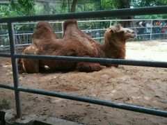 -广东茂名森林公园